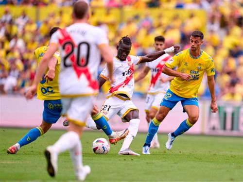 What's a Bingo Game?