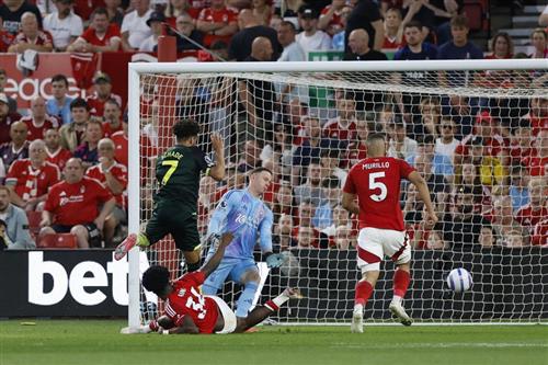 What's a Bingo Game?